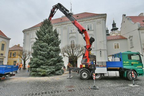 A Mártírok útjáról érkezett a Városház térre Székesfehérvár idei karácsonyfája